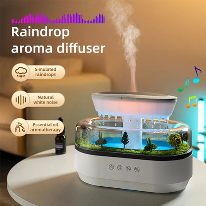 Raindrop Aromatherapy Diffuser.